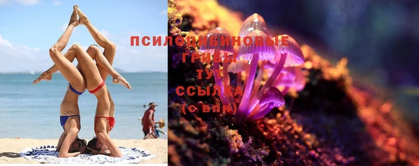 MESCALINE Гусев
