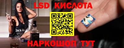 мяу мяу мука Краснознаменск
