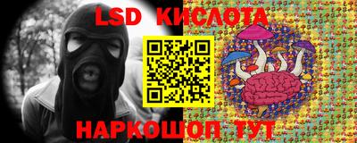 ГАЛЛЮЦИНОГЕННЫЕ ГРИБЫ Краснокаменск