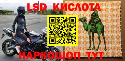 мяу мяу мука Краснознаменск