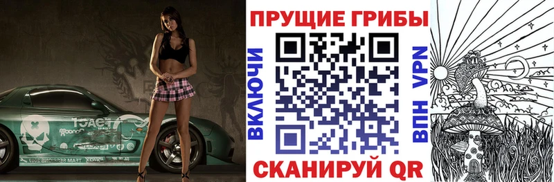blacksprut онион  Донецк  Псилоцибиновые грибы Psilocybine cubensis  наркошоп 